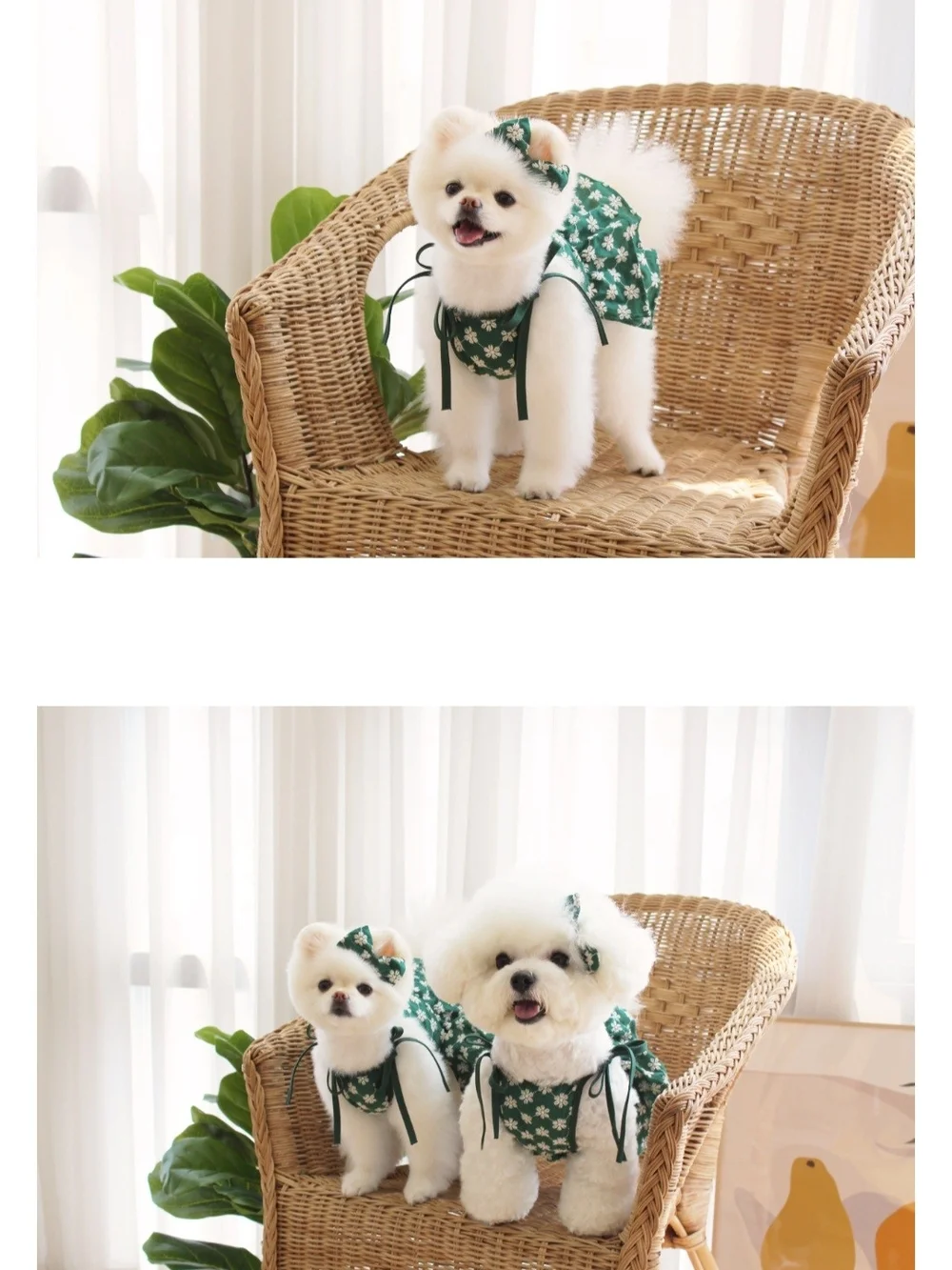 CokeMill Aloha Dress Puppy Dress Korean Pet Fashion NWT
